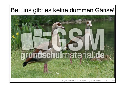 Dumme-Gans-1.pdf